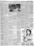 imagen miniatura de la página