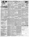 imagen miniatura de la página