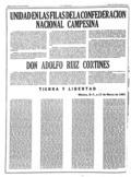 imagen miniatura de la página