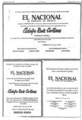 imagen miniatura de la página