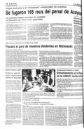 imagen miniatura de la página