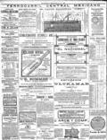imagen miniatura de la página