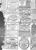 imagen miniatura de la página