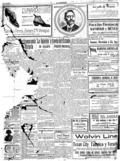 imagen miniatura de la página