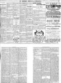 imagen miniatura de la página
