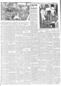 imagen miniatura de la página