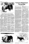 imagen miniatura de la página