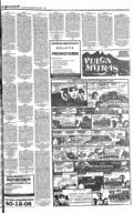 imagen miniatura de la página