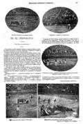 imagen miniatura de la página