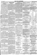 imagen miniatura de la página