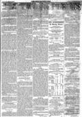 imagen miniatura de la página