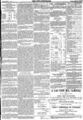 imagen miniatura de la página