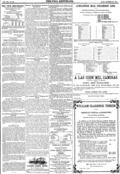 imagen miniatura de la página