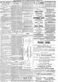 imagen miniatura de la página