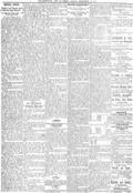 imagen miniatura de la página