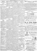 imagen miniatura de la página