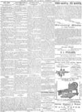 imagen miniatura de la página
