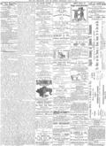 imagen miniatura de la página