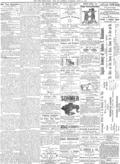 imagen miniatura de la página