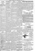 imagen miniatura de la página