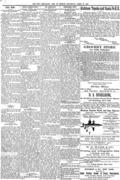 imagen miniatura de la página