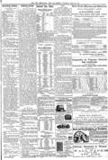 imagen miniatura de la página