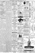 imagen miniatura de la página