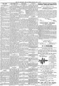 imagen miniatura de la página