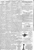 imagen miniatura de la página