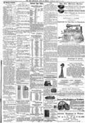 imagen miniatura de la página