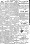 imagen miniatura de la página