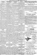 imagen miniatura de la página