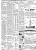 imagen miniatura de la página