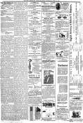 imagen miniatura de la página