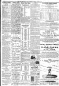 imagen miniatura de la página