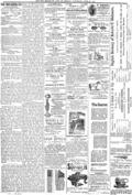 imagen miniatura de la página
