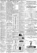 imagen miniatura de la página