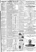 imagen miniatura de la página