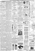 imagen miniatura de la página