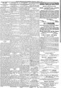 imagen miniatura de la página