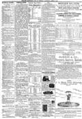 imagen miniatura de la página