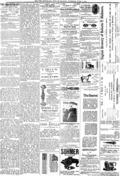 imagen miniatura de la página
