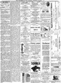 imagen miniatura de la página
