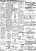 imagen miniatura de la página