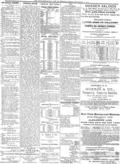 imagen miniatura de la página