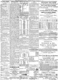 imagen miniatura de la página