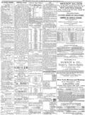 imagen miniatura de la página