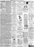 imagen miniatura de la página