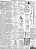 imagen miniatura de la página