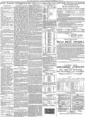 imagen miniatura de la página